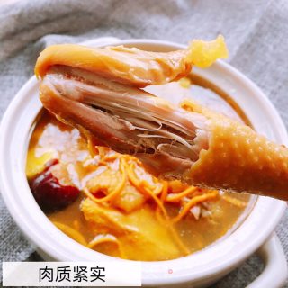 暖上心头之滋补鸡汤的做法步骤：6