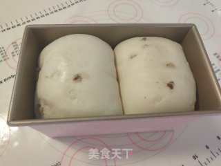 枫糖核桃土司的做法步骤：13