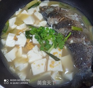 鲫鱼炖豆腐汤的做法步骤：7
