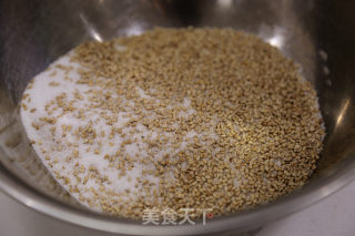 蜂蜜脆底小餐包的做法步骤：10
