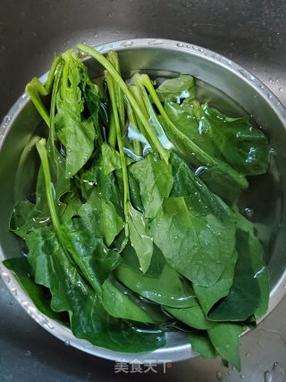 青口菠菜拌粉丝的做法步骤：1