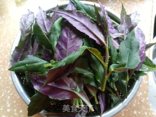 鸡蛋炒红凤菜的做法步骤：1