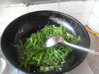 蒜蓉扁豆丝的做法步骤：9