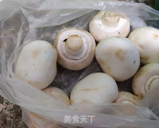 蘑菇肉盖浇面的做法步骤：3