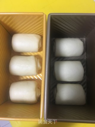中种牛奶甜吐司的做法步骤：12