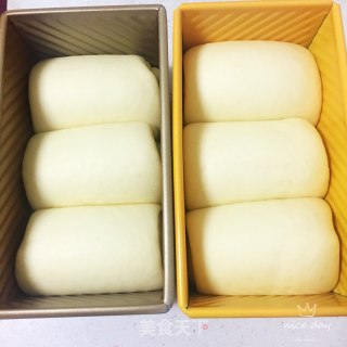 中种牛奶甜吐司的做法步骤：14