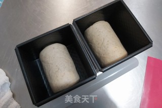 全麦炭烧酸奶吐司的做法步骤：16
