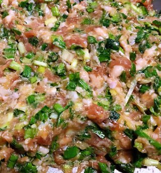 #花样面食#猪肉韭菜锅贴的做法步骤：2