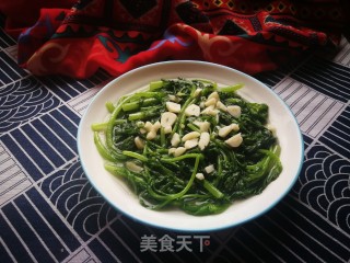 清烫茼蒿的做法步骤：6