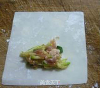 蒸西葫芦肉馅大馄饨的做法步骤：10