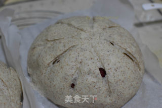 简单好做好吃的核桃软欧包的做法步骤：10