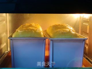 牛奶吐司的做法步骤：15