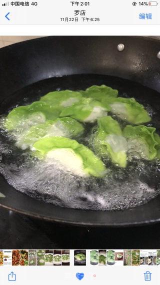 翡翠饺子????的做法步骤：5