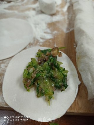 香芹猪肉饺子的做法步骤：4