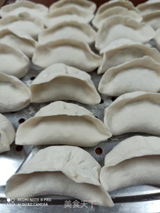 香芹猪肉饺子的做法步骤：5