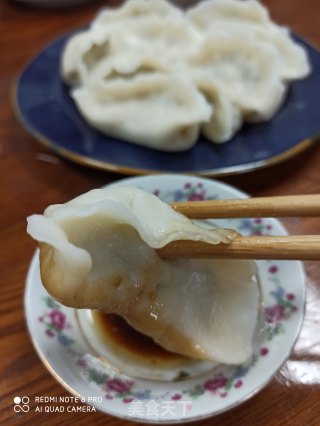 香芹猪肉饺子的做法步骤：8