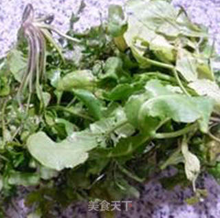 荠菜肉馅锅贴的做法步骤：2