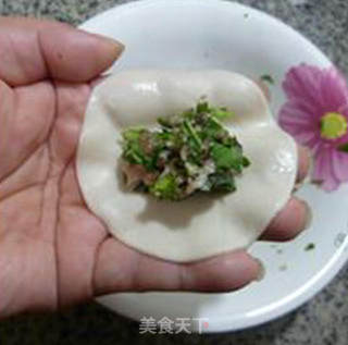 荠菜肉馅锅贴的做法步骤：9