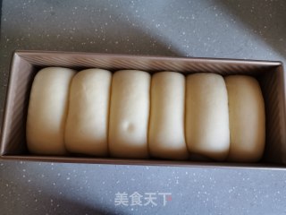 波兰种奶油吐司的做法步骤：13