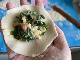 韭菜猪肉蒸饺的做法步骤：4