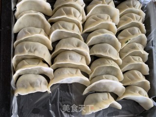 韭菜猪肉蒸饺的做法步骤：5