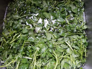 陈肾山药西洋菜汤的做法步骤：1