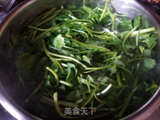 陈肾山药西洋菜汤的做法步骤：7