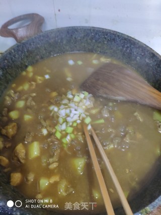 咖喱鸡肉块的做法步骤：10