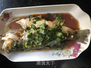 清蒸鲈鱼的做法步骤：9