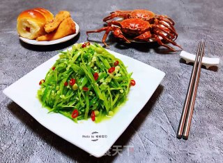 #清肠食谱#凉拌蒜蓉荷兰豆的做法步骤：14