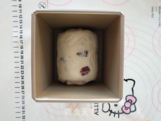 蔓越莓土司的做法步骤：12