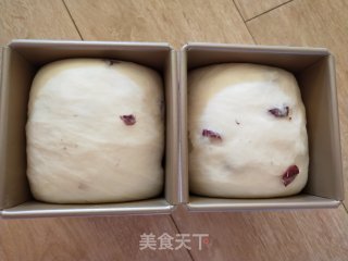 蔓越莓土司的做法步骤：14