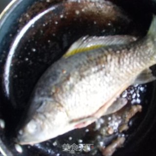 一碗鲫鱼汤的做法步骤：4