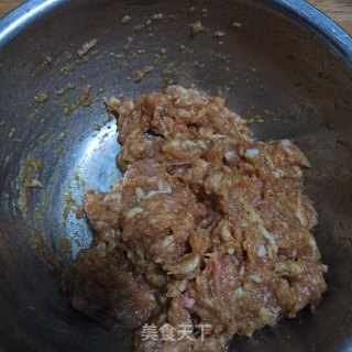 猪肉茴香饺子的做法步骤：3
