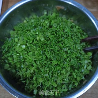 猪肉茴香饺子的做法步骤：5