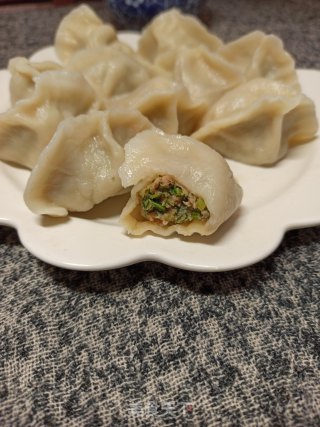 猪肉茴香饺子的做法步骤：14