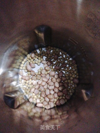 核桃花生豆浆的做法步骤：2