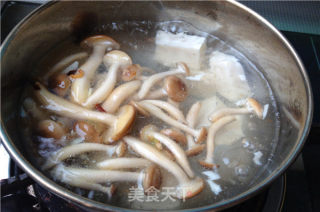 丝瓜菌菇豆腐汤的做法步骤：6