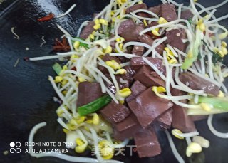 豆芽烧鸭血的做法步骤：4