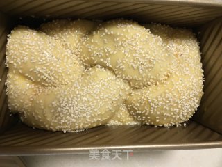 中种肉松辫子吐司的做法步骤：14
