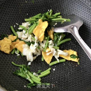 “快手小炒”茼蒿炒鸡蛋的做法步骤：19