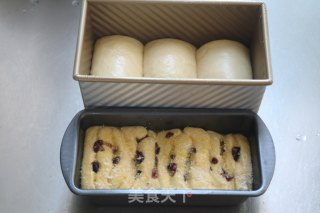 土司面包的做法步骤：14