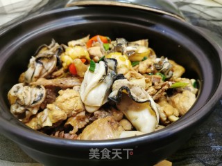 生蚝鲍鱼焖鸡的做法步骤：12