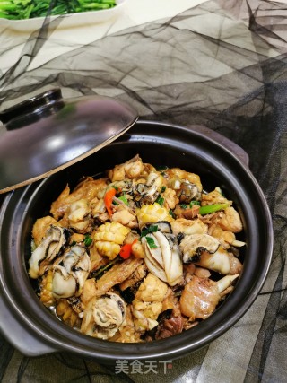 生蚝鲍鱼焖鸡的做法步骤：14