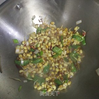 干煸黄豆芽的做法步骤：8