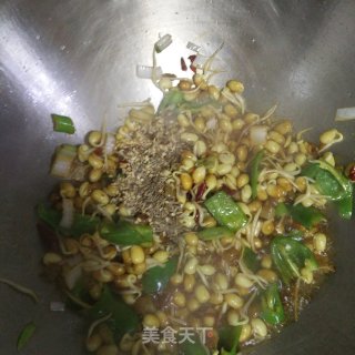 干煸黄豆芽的做法步骤：10