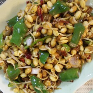 干煸黄豆芽的做法步骤：12