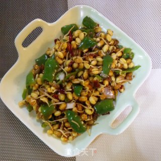 干煸黄豆芽的做法步骤：14