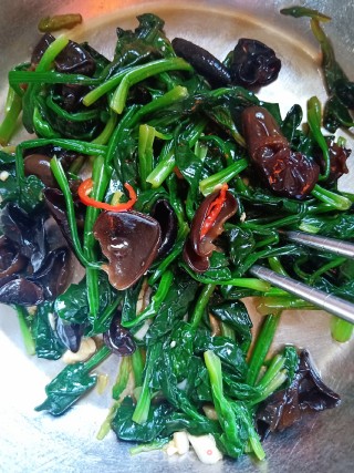 凉拌菠菜（韩国人的最爱）的做法步骤：5
