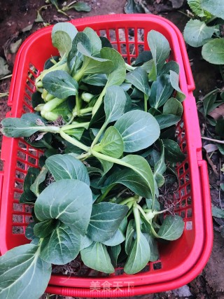 香菇炒青菜的做法步骤：2